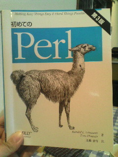 初めてのPerl
