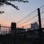 今日の夕焼け