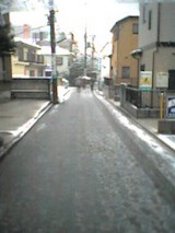 雪すごい