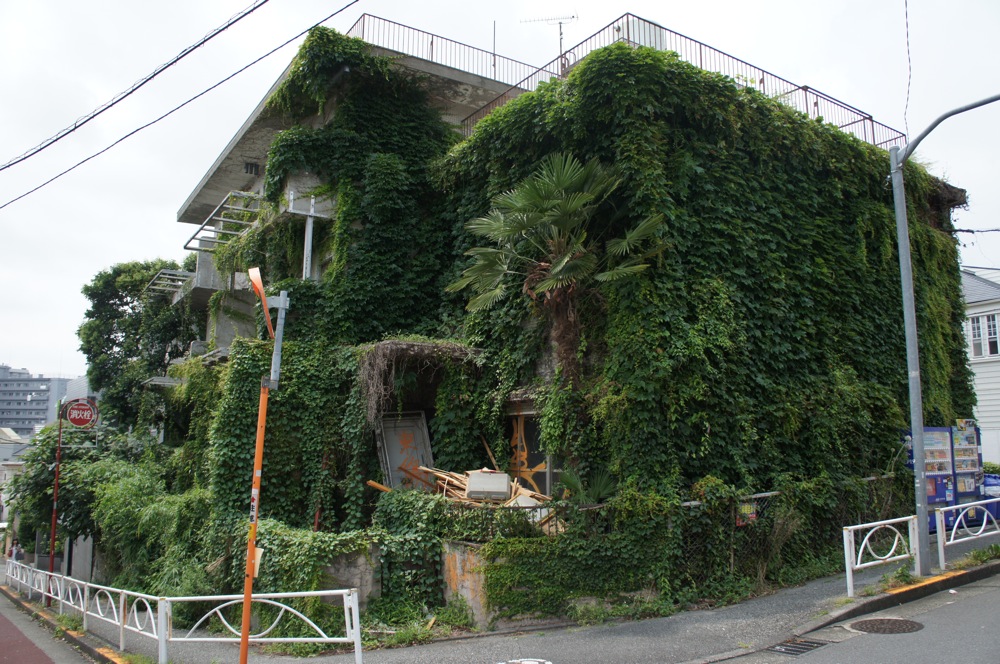 DSC02691 JPG