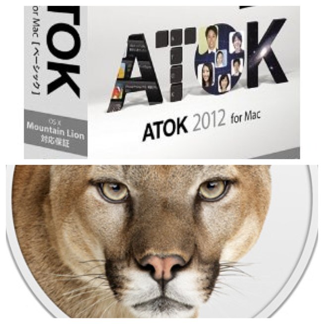 Mountain LionでATOKの動作が遅い・重い時の対処法