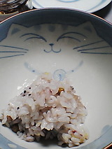ご飯茶碗ですニャー