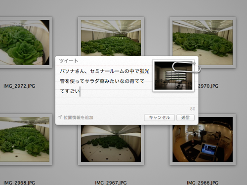 Mountain Lionで写真をFinderからTwitterに投稿する方法